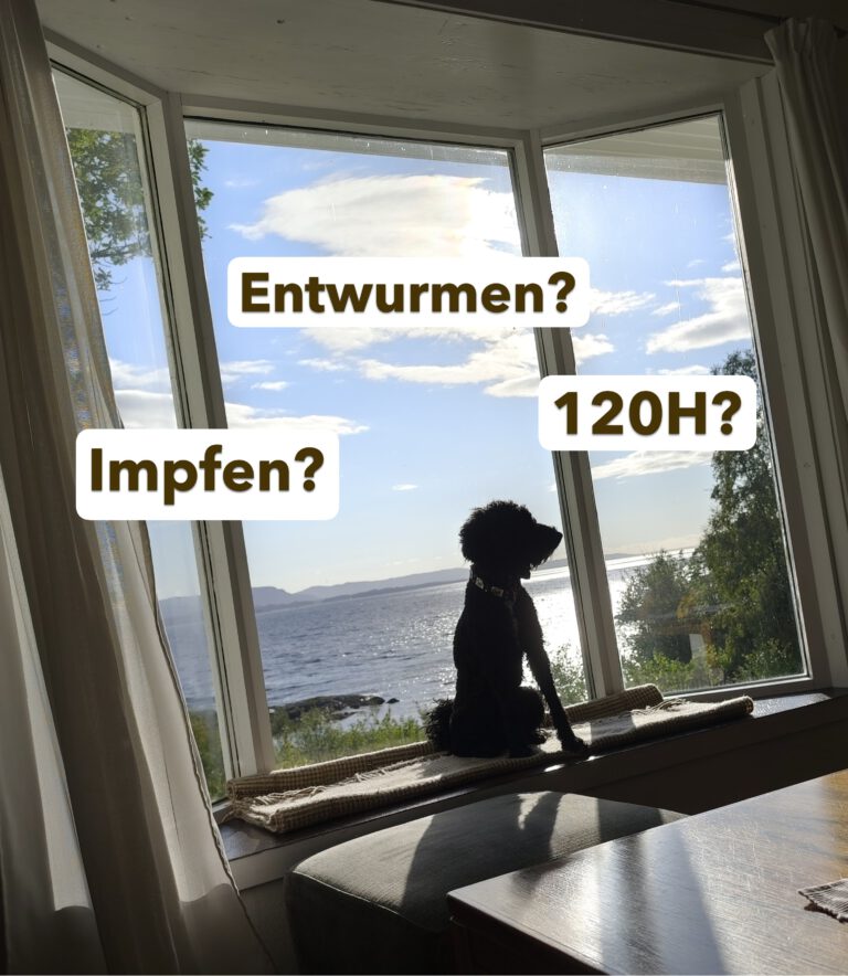 Mit Hund nach Norwegen: Impfungen, Entwurmung & Zoll-Regeln (Guide 2026)